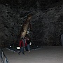 Bild (46)